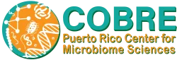 COBRE Puerto Rico center for Microbiome sciences